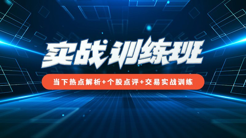 实战训练班回看